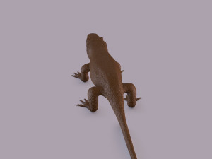 komodo dragon figurine 3Dプリントモデル