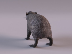 rock hyrax Modelo 3D