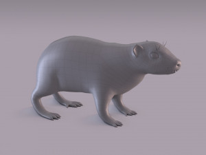rock hyrax Modelo 3D