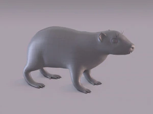 rock hyrax 3D Model