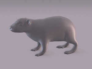 rock hyrax Modelo 3D