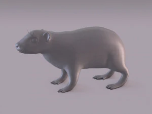 rock hyrax 3D Model