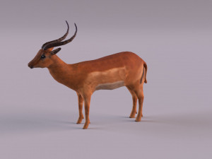 antelope 3D Model