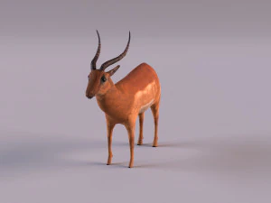 antelope 3D Model