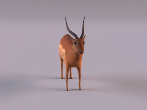 antelope 3D Model
