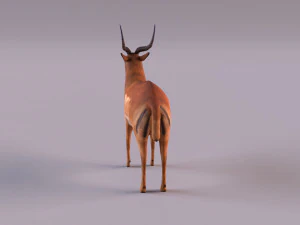 antelope 3D Model