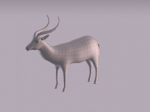 antelope 3D Model