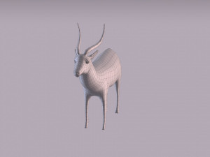 antelope 3D Model