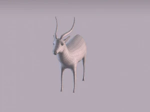 antelope 3D Model