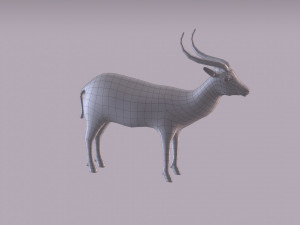 antelope 3D Model