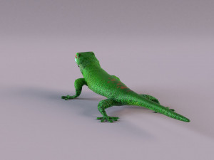 madagascar day gecko 3D Model