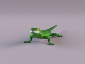 madagascar day gecko 3D Model