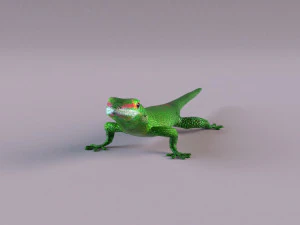madagascar day gecko 3D Model