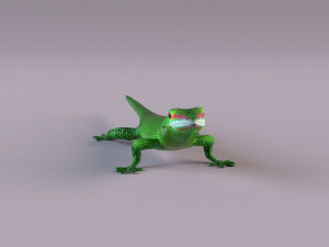 madagascar day gecko 3D Model