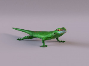 madagascar day gecko 3D Model