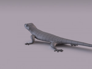 madagascar day gecko 3D Model