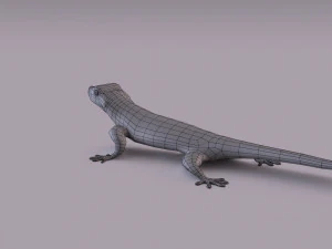 madagascar day gecko 3D Model