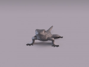 madagascar day gecko 3D Model