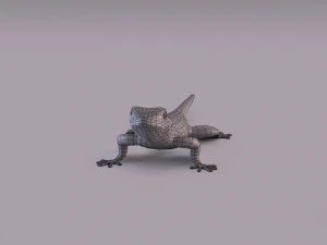 madagascar day gecko 3D Model