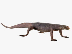 moniteur d'eau Modèle 3D