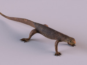water monitor 3D 模型