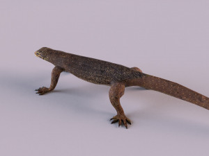 water monitor 3D 模型