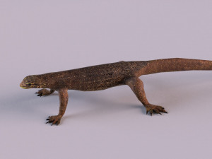 water monitor 3D 模型