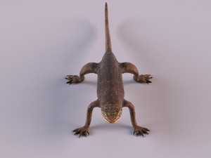 water monitor 3D 模型