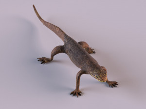 water monitor 3D 模型