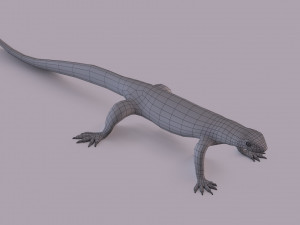 water monitor 3D 模型
