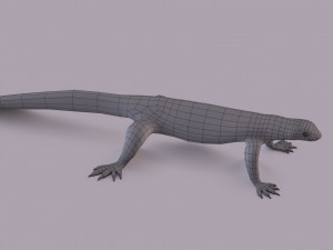 water monitor 3D 模型
