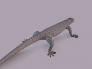 water monitor 3D 模型