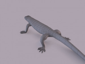water monitor 3D 模型