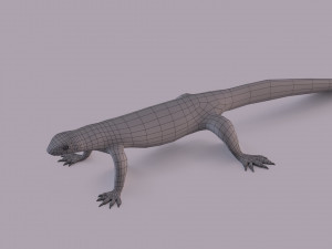 water monitor 3D 模型