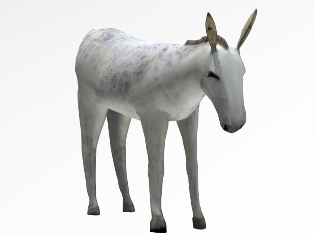 donkey Modèle 3D .c4d .max .obj .3ds .fbx .stl .blend 