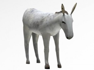 donkey 3Dモデル
