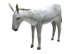 donkey Modèle 3D