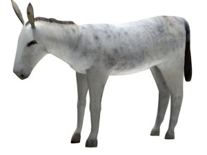 donkey Modèle 3D