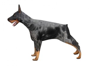 doberman 3Dモデル