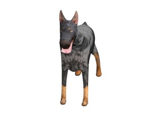doberman Model 3D