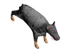 杜宾犬 3D 模型