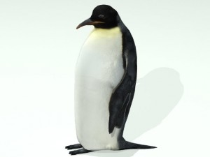 penguin 3D Model