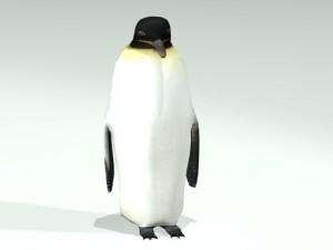 penguin 3D 모델