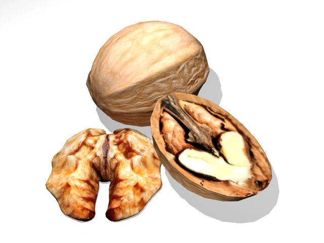 walnut 3D Model .c4d .max .obj .3ds .fbx .stl .blend 