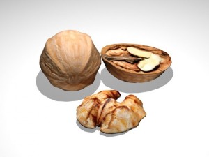 walnut 3Dモデル