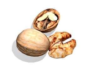walnut 3Dモデル