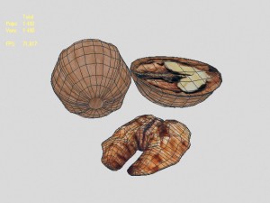 walnut 3Dモデル