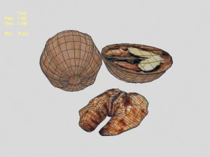 walnut 3D Model