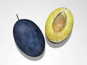plum 3D Model