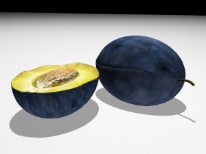 plum 3D Model